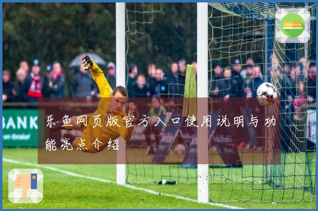 乐鱼网页版官方入口使用说明与功能亮点介绍