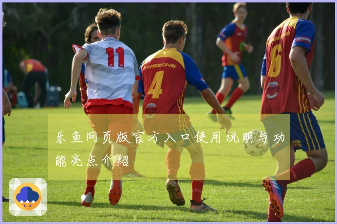 乐鱼网页版官方入口使用说明与功能亮点介绍