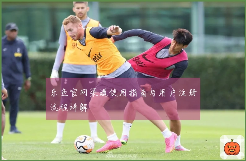 乐鱼官网渠道使用指南与用户注册流程详解