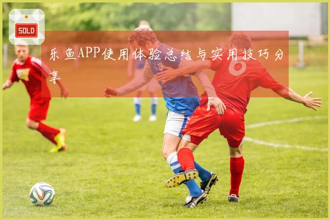 乐鱼APP使用体验总结与实用技巧分享